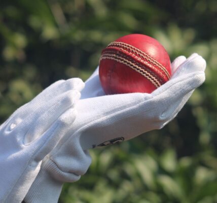 Japan vs India T20