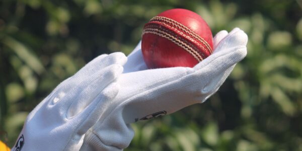 Japan vs India T20